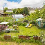 8/2 Lochend Drive, Edinburgh, EH7 6DW - Communal Garden