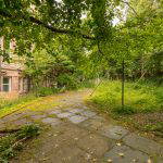 37/13 Bryson Road, Polwarth, Edinburgh, EH11 1DY - Garden