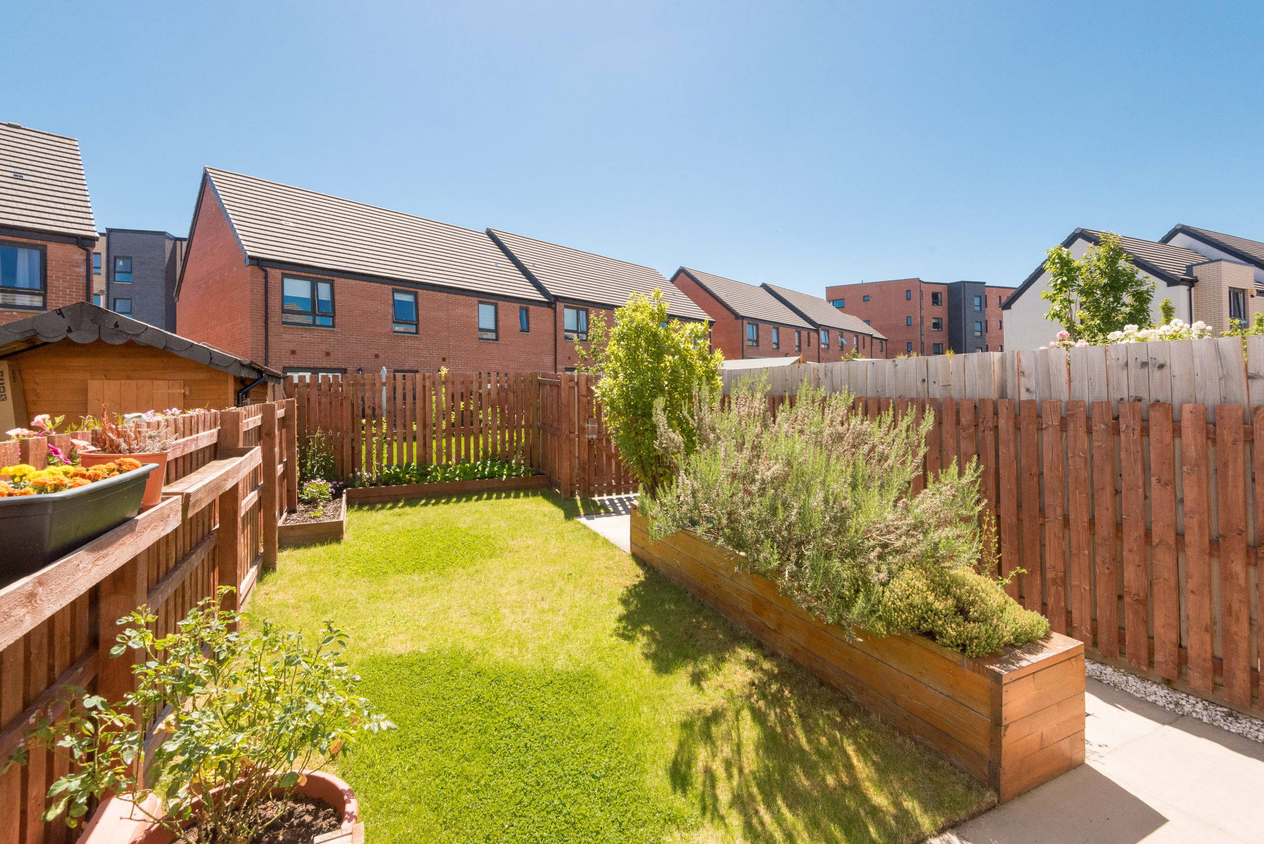 10 Saint Francis Way, Edinburgh, EH16 4XN - Garden